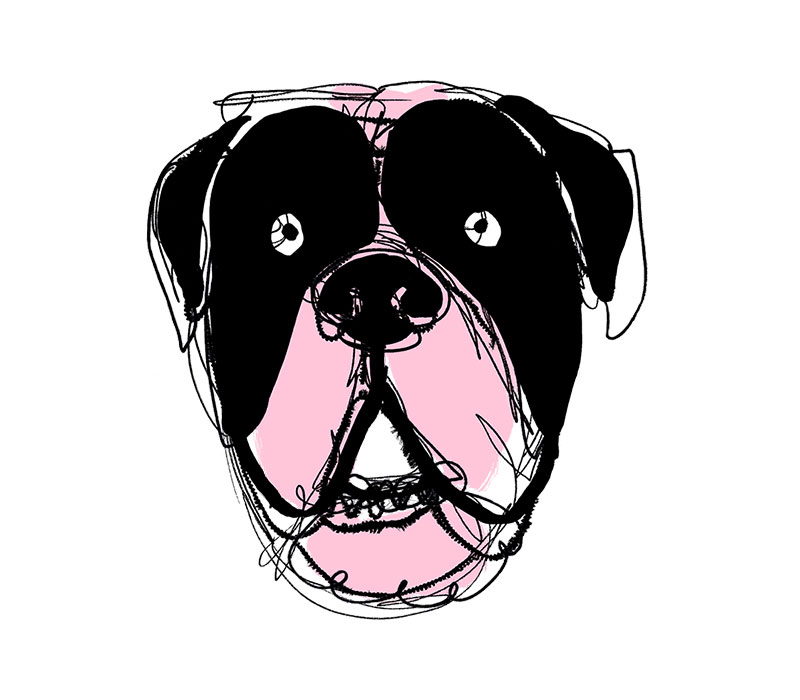 Illustration eines lachenden Hundegesichts